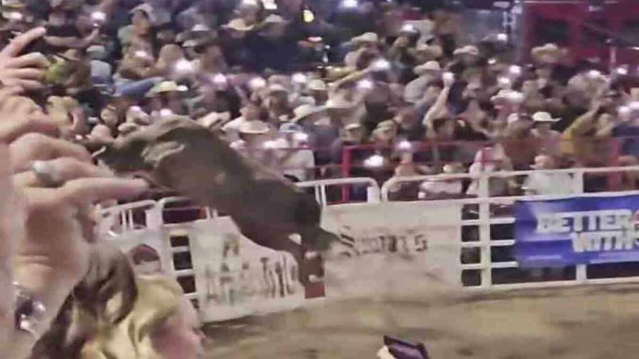 Toro de rodeo salta valla de arena de Oregon; deja tres personas heridas Toro de rodeo salta valla de arena de Oregon; deja tres personas heridas