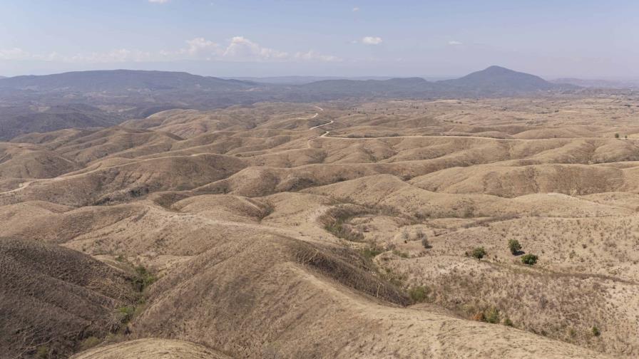 Seis provincias fronterizas han perdido más de 100 kilómetros de cobertura forestal en 22 años