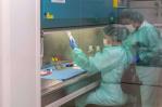 Comité de expertos respalda la aprobación un nuevo medicamento contra el alzhéimer en EEUU Comité de expertos respalda la aprobación un nuevo medicamento contra el alzhéimer en EEUU
