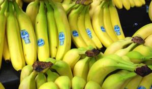 Justicia de EEUU halla responsable a bananera Chiquita de financiar a paramilitares en Colombia