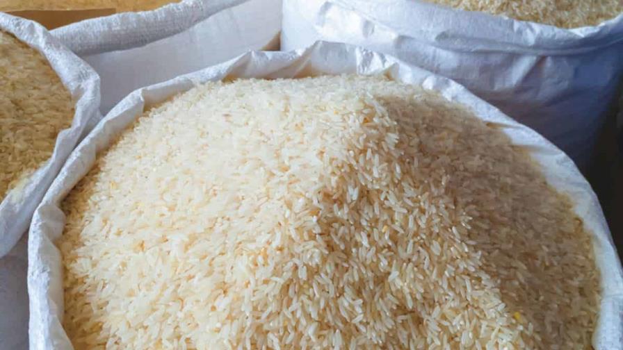 Rusia extiende la prohibición de exportar arroz hasta fines de año