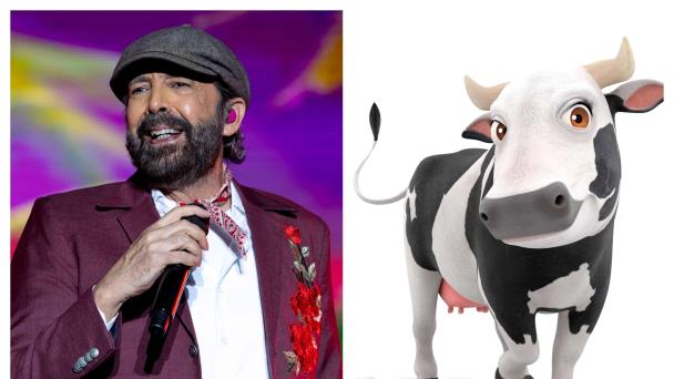 Video | Bebé prefiere La Bilirrubina de Juan Luis Guerra a La vaca Lola
