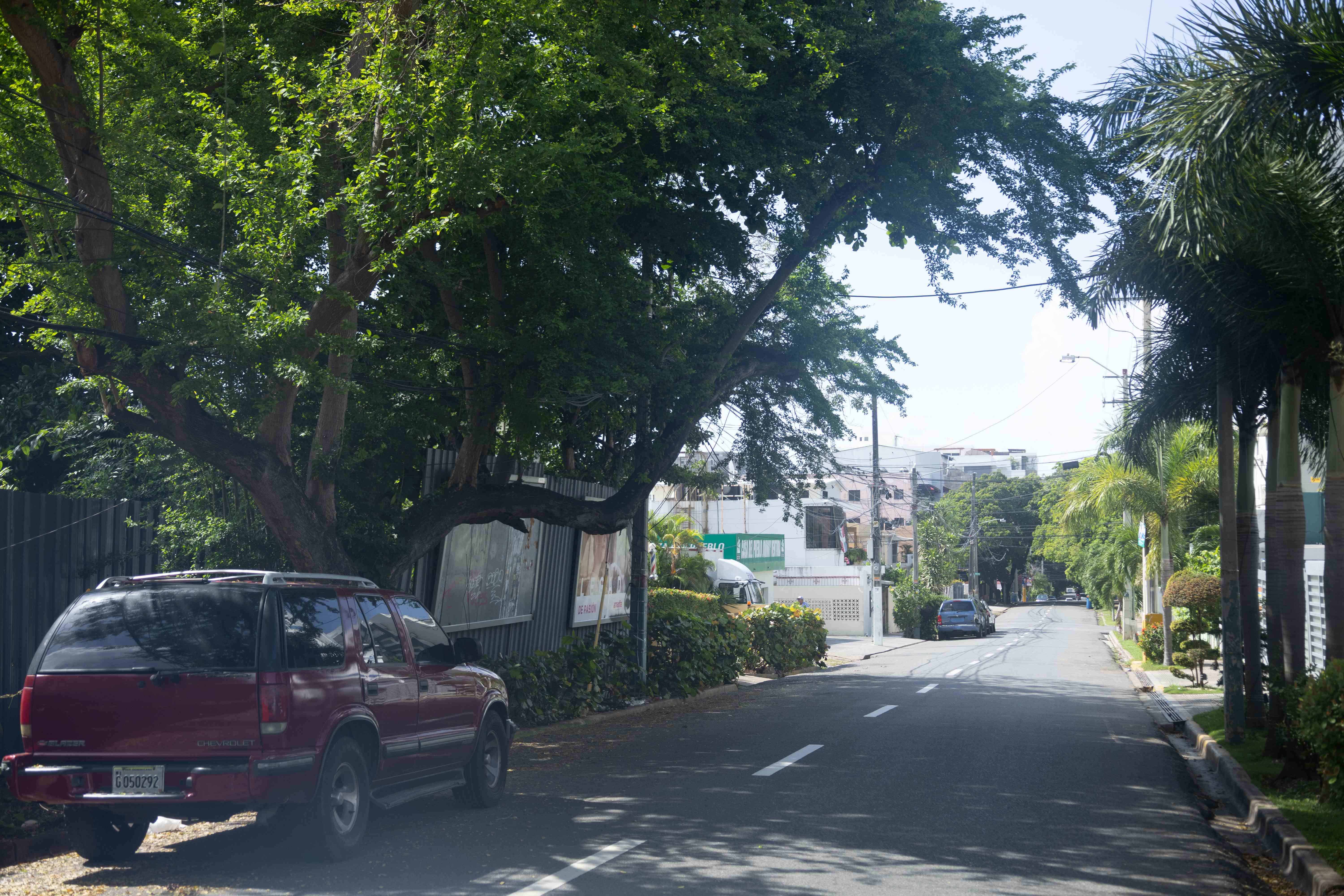 La Alcaldía del Distrito Nacional tiene definido y establecido un plan de arbolado. 