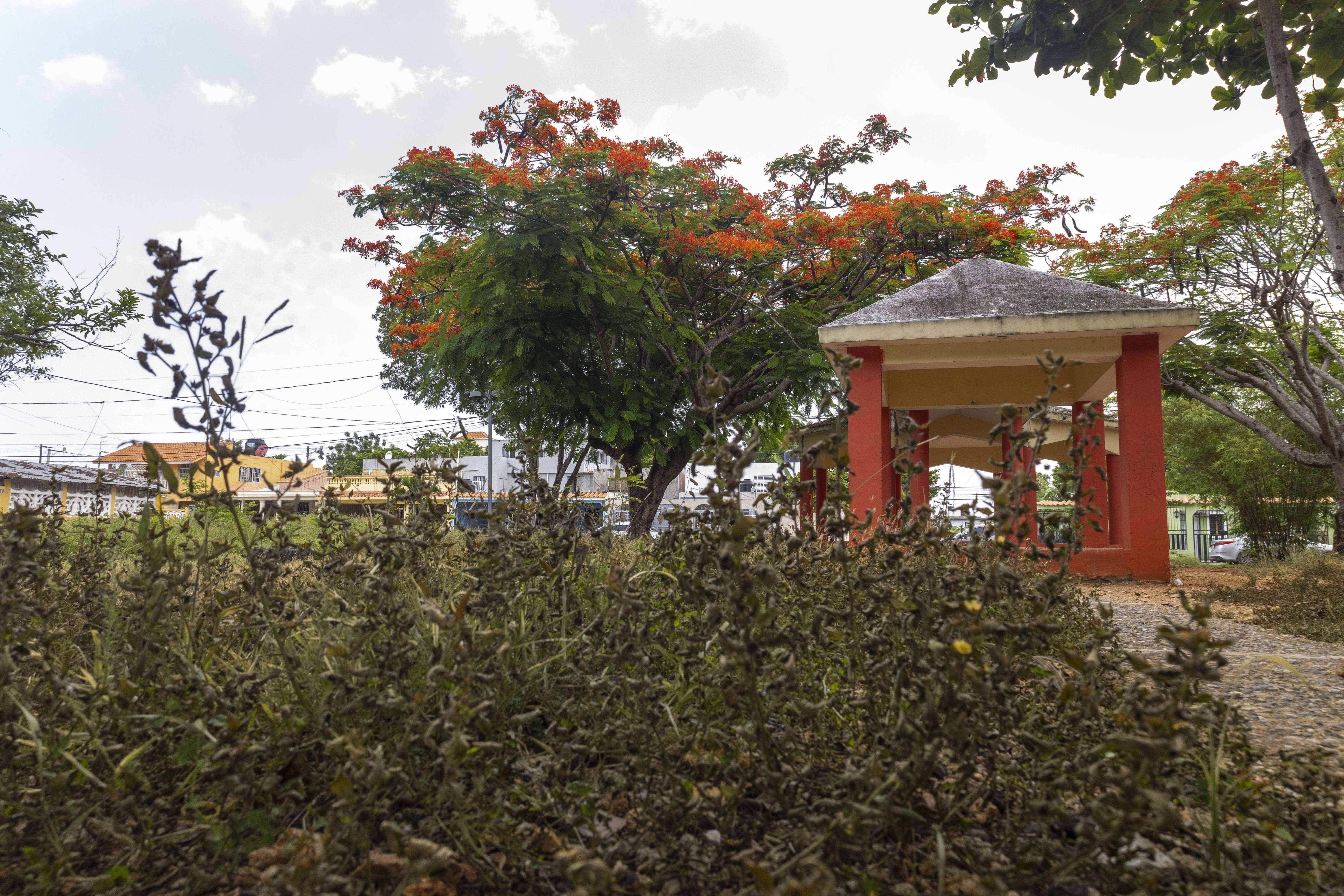 El parque fue construido por la comunidad. 