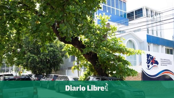 Árboles inclinados, una amenaza a quienes circulan en SD