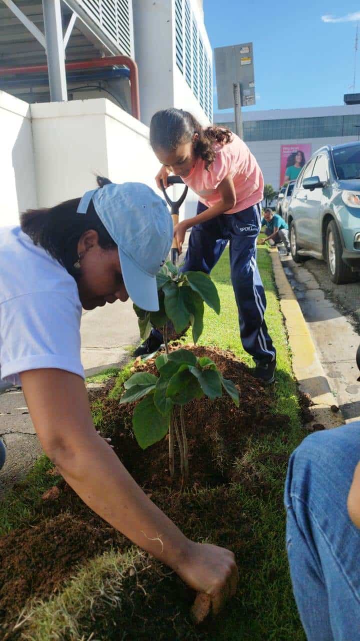 Jornada de siembra de árboles.