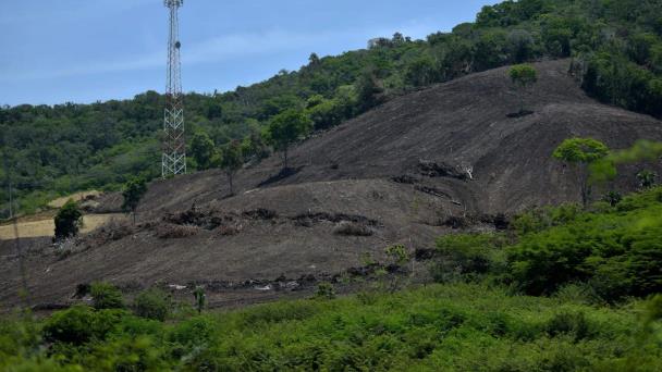 Medio Ambiente se querella contra una persona por daños ambientales en bosque de Montecristi