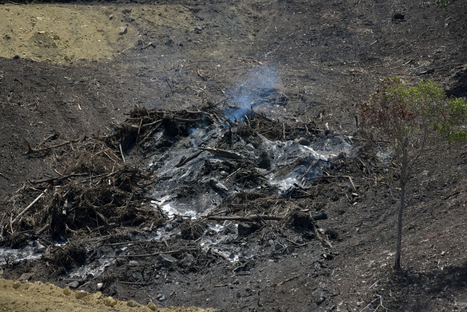 Medio Ambiente dijo que tras el desmonte, existe el riesgo de incendios forestales. 