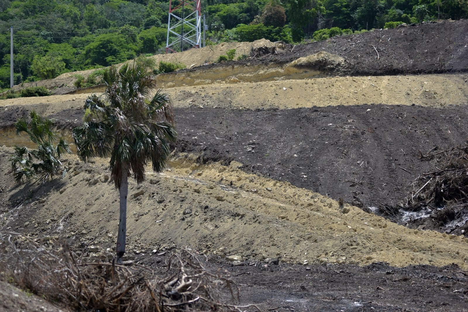 Parte del desmonte en Buen Hombre, Villa Vásquez, Montecristi. 