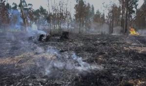 Dictan medidas de coerción a dos hombres por incendio en parque José del Carmen Ramírez