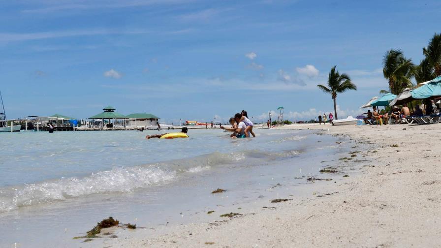 Playa de Boca Chica luce libre de sargazo este sábado