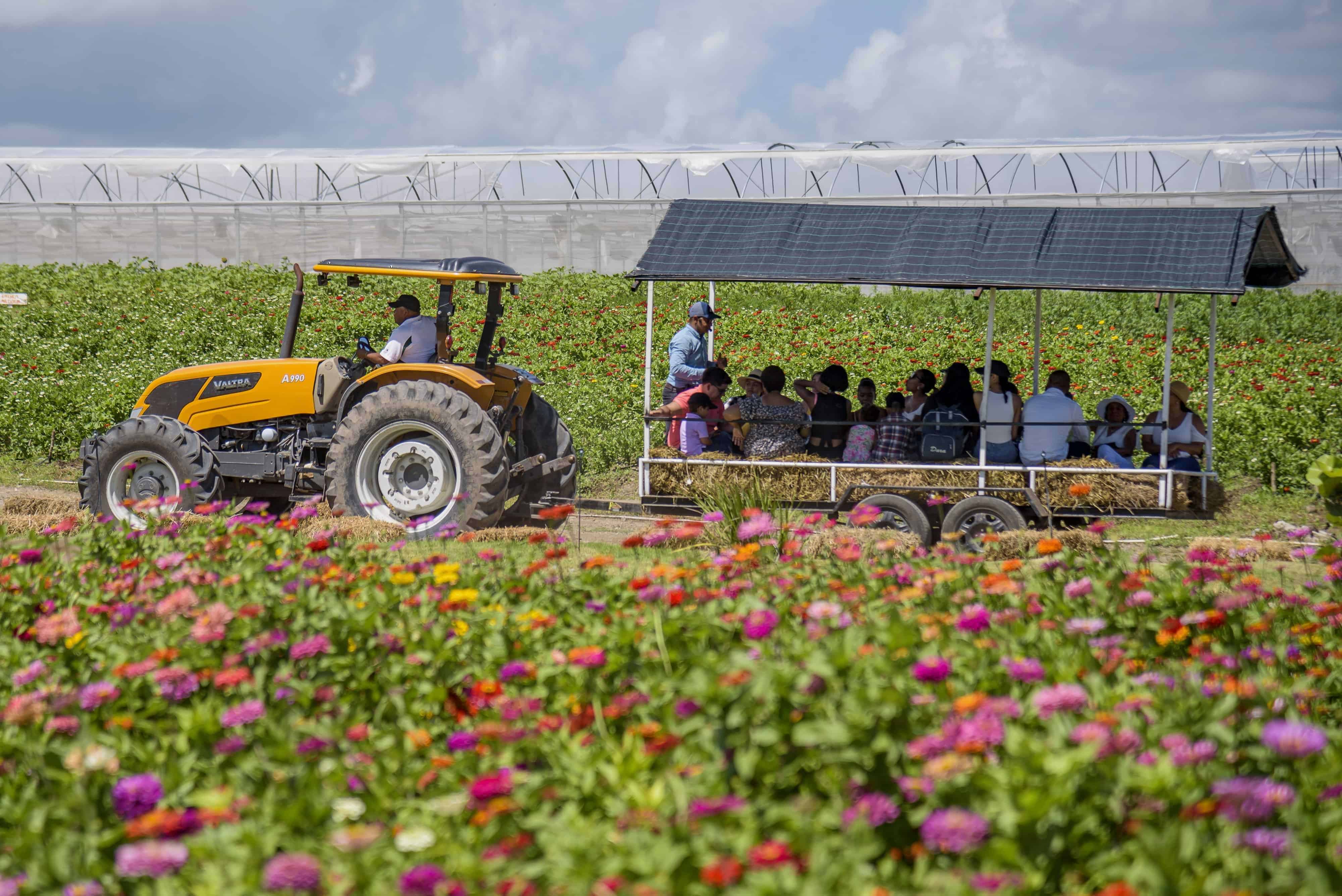 [object HTMLTextAreaElement]