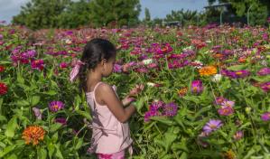 Tierra Tropical habilita nueva fecha: El domingo 30 de junio de 2024