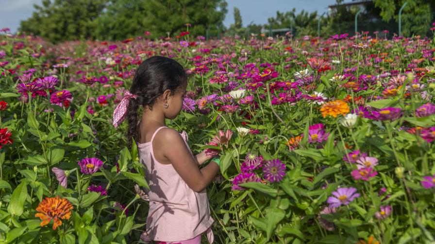 Tierra Tropical habilita nueva fecha: El domingo 30 de junio de 2024