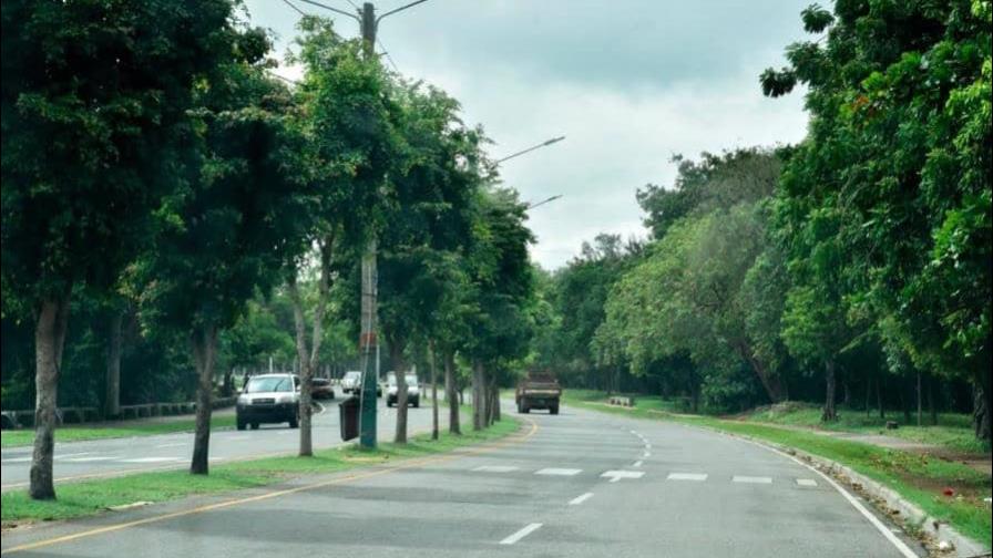 Alcaldía DN informa que no autorizó poda de árboles en el Mirador Sur