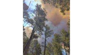 Residentes huyen de poblado de Nuevo M&eacute;xico por fuertes incendios forestales