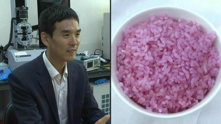 Científicos surcoreanos crean arroz carnoso con alto contenido de proteínas