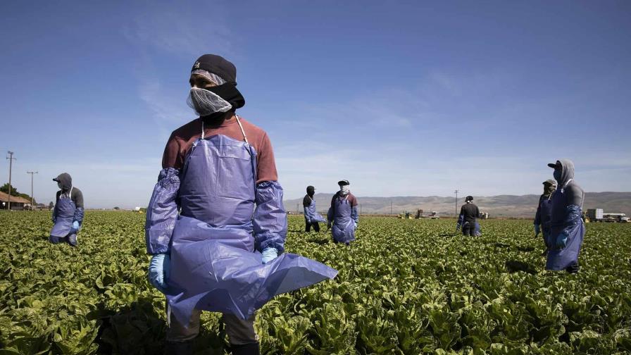 EE. UU. subraya que también los trabajadores indocumentados tienen derechos en su país