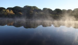 La contaminación del aire ha provocado en 2021 más de 8 millones de muertes en todo el mundo