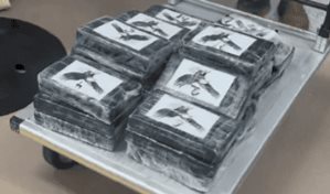 Tripulantes de barco encuentran cocaína por valor de 1 millón de dólares frente a costa de Florida