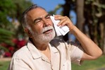 &iquest;C&oacute;mo mata el calor? Confunde a tu cerebro, apaga los &oacute;rganos y sobrecarga tu coraz&oacute;n