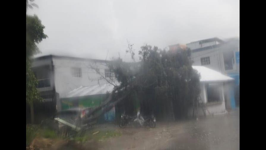 Ventarrón derriba árboles y tendido eléctrico en Jarabacoa