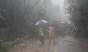 Edenorte restablece servicio eléctrico afectado por ventarrón en Jarabacoa