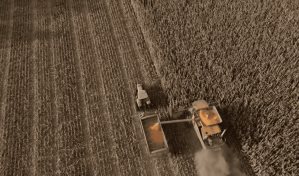 Milei a la espera de los beneficios de primera cosecha agrícola de su gobierno