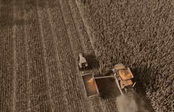 Milei a la espera de los beneficios de primera cosecha agrícola de su gobierno