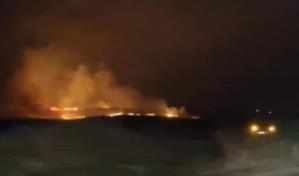 Cinco muertos y decenas de heridos en incendio forestal en el sureste de Turquía