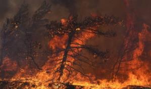 Grecia lucha por tercer día consecutivo contra decenas de incendios en todo el país