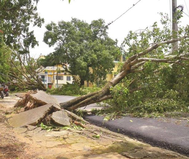 Dominicanos priorizan restaurar la naturaleza y la protección ante los fenómenos extremos