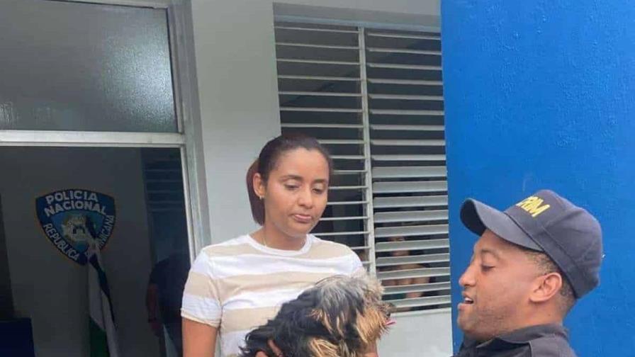 Policía recupera perrita “Yorshire” reportada robada en Santo Domingo Norte