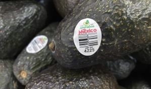 Estados Unidos reanuda operaciones para importar aguacates de M&eacute;xico