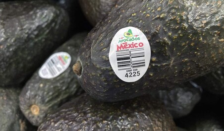 Estados Unidos reanuda operaciones para importar aguacates de M&eacute;xico