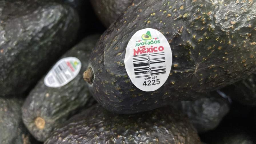 Estados Unidos reanuda operaciones para importar aguacates de M&eacute;xico