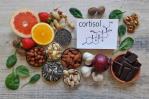 Cómo influye el cortisol en nuestro bienestar Cómo influye el cortisol en nuestro bienestar