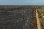 El humedal del Pantanal perdió un 61 % de su área acuática por la sequía y los incendios El humedal del Pantanal perdió un 61 % de su área acuática por la sequía y los incendios