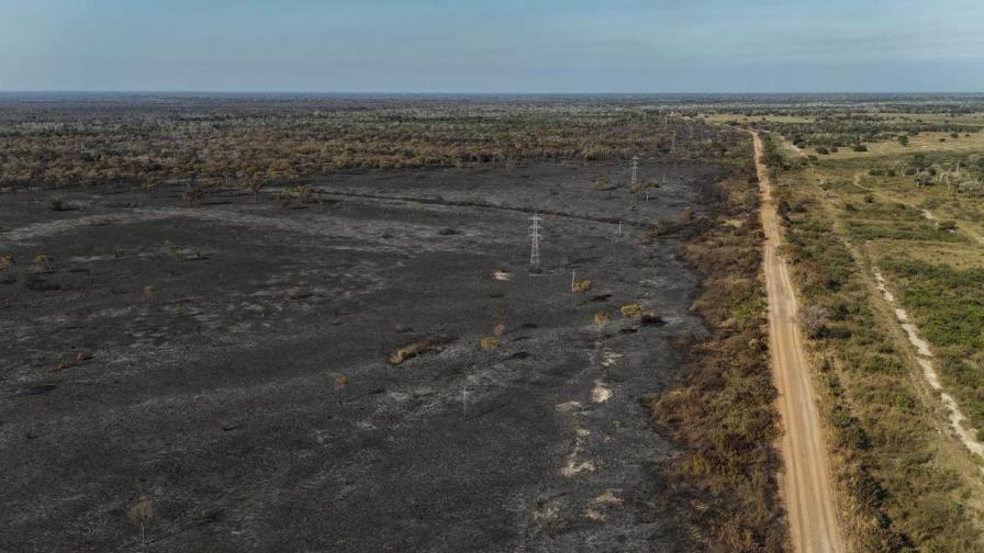 El humedal del Pantanal perdió un 61 % de su área acuática por la sequía y los incendios