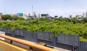 Ciudadanos y conductores en peligro latente por excavaciones sin protección en la ciudad