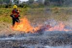 Incendios en Bolivia, Paraguay y Brasil provocan las más altas emisiones de CO2 en 20 años Incendios en Bolivia, Paraguay y Brasil provocan las más altas emisiones de CO2 en 20 años