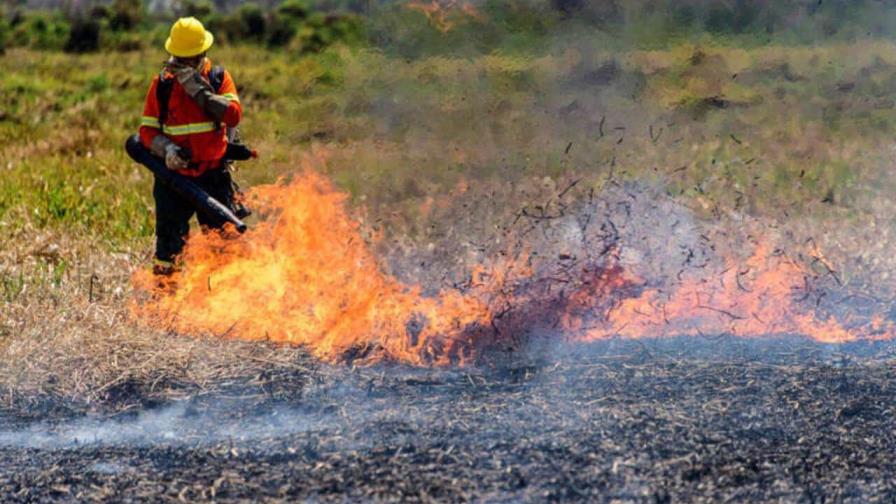 Incendios en Bolivia, Paraguay y Brasil provocan las más altas emisiones de CO2 en 20 años