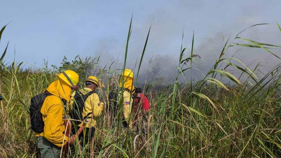 Respuesta rápida bomberos forestales ha evitado daños  más graves por incendios