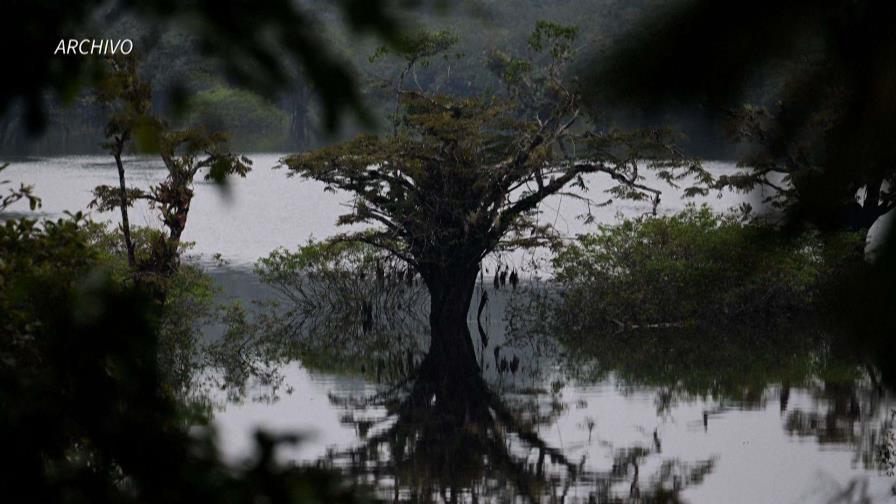 Derrame de petróleo contamina río amazónico en Ecuador