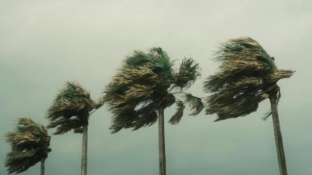 Beryl podría convertirse en categoría 3 antes de llegar a Barbados