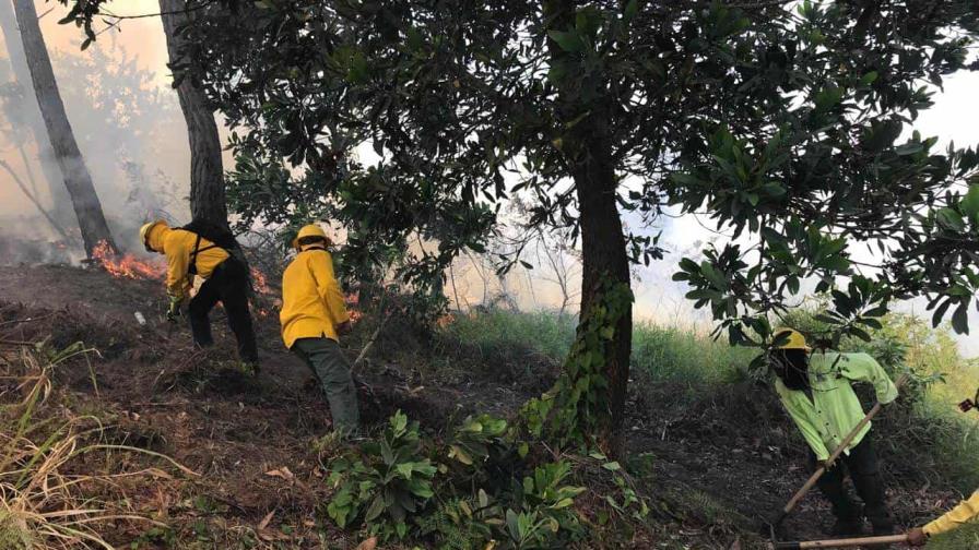 Bomberos combaten incendio forestal en la Cienaguita