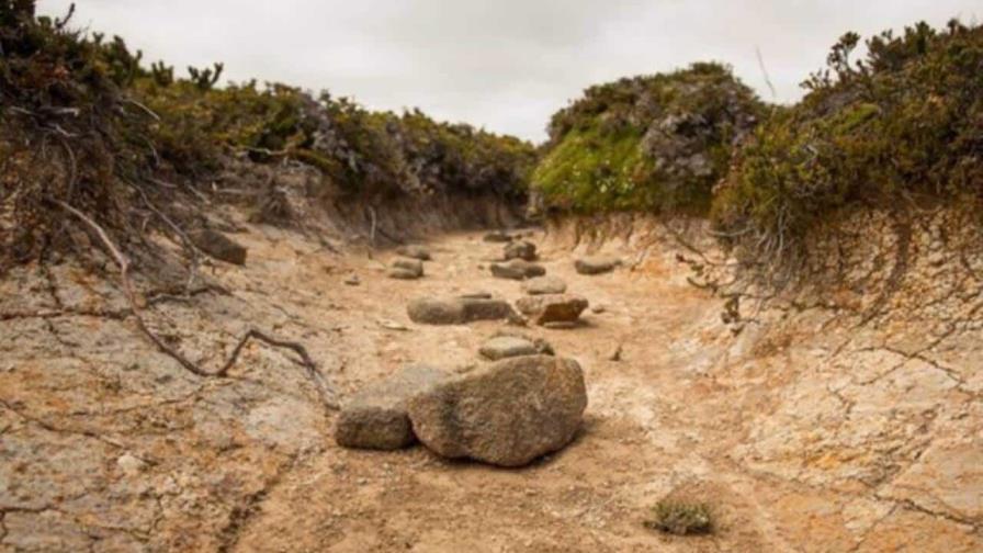 Nuevos eventos de El Niño podrán predecirse con 18 meses