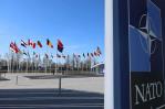EE.UU. confía en apoyo a OTAN pese a auge de extrema derecha en Europa EE.UU. confía en apoyo a OTAN pese a auge de extrema derecha en Europa