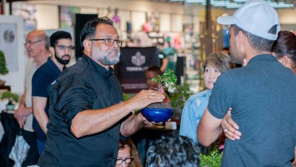 Galería 360 se transforma en oasis verde con la exhibición de Bonsái