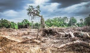 Corte de ONU iniciará audiencias públicas el 2 de diciembre en caso sobre cambio climático